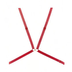 Halter Harness