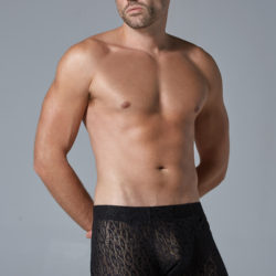 Men’s Leopard Shorts